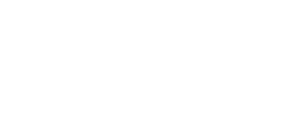 میگاپے logo